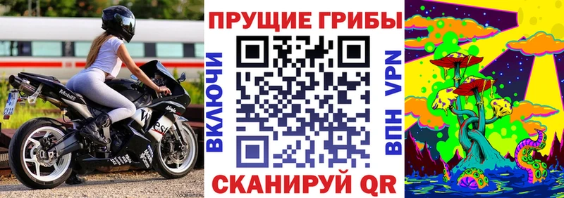 купить  сайты  Курчатов  Галлюциногенные грибы MAGIC MUSHROOMS 